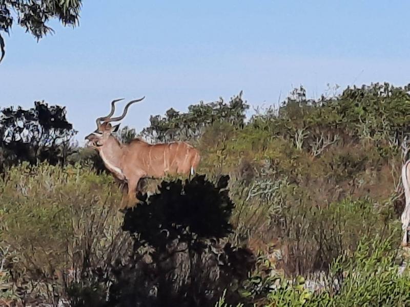 20 Bedroom Property for Sale in Hopefield Western Cape